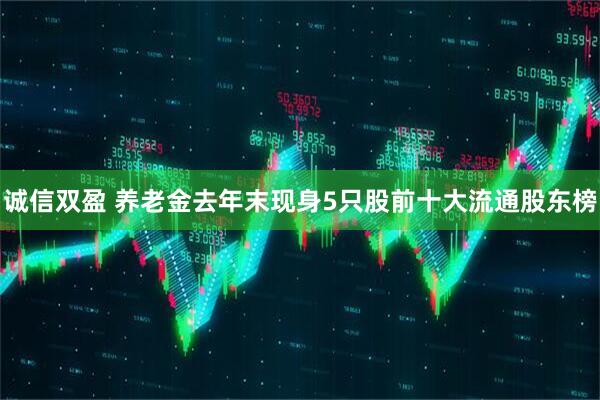 诚信双盈 养老金去年末现身5只股前十大流通股东榜