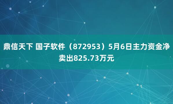 鼎信天下 国子软件（872953）5月6日主力资金净卖出825.73万元