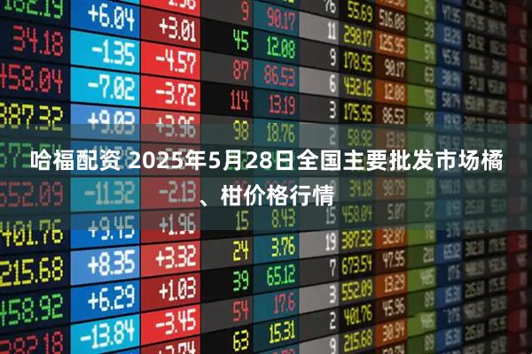哈福配资 2025年5月28日全国主要批发市场橘、柑价格行情