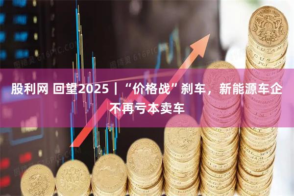 股利网 回望2025｜“价格战”刹车，新能源车企不再亏本卖车