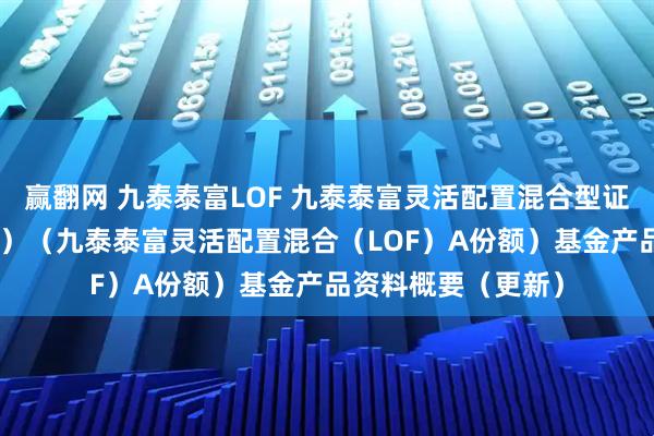 赢翻网 九泰泰富LOF 九泰泰富灵活配置混合型证券投资基金（LOF）（九泰泰富灵活配置混合（LOF）A份额）基金产品资料概要（更新）