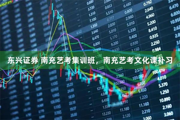 东兴证券 南充艺考集训班,南充艺考文化课补习